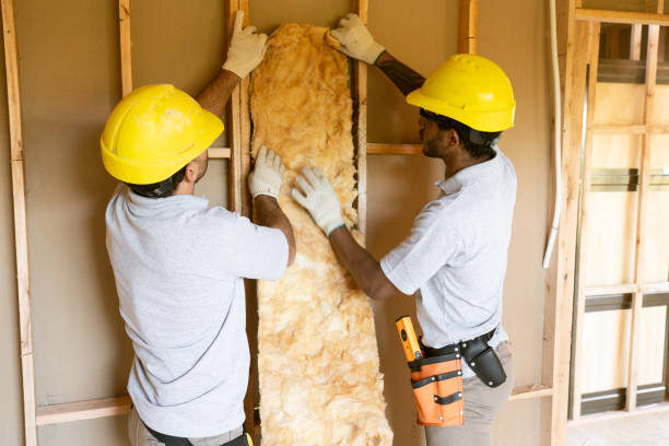 Best Insulation Inspection Services  in Odessa, TX